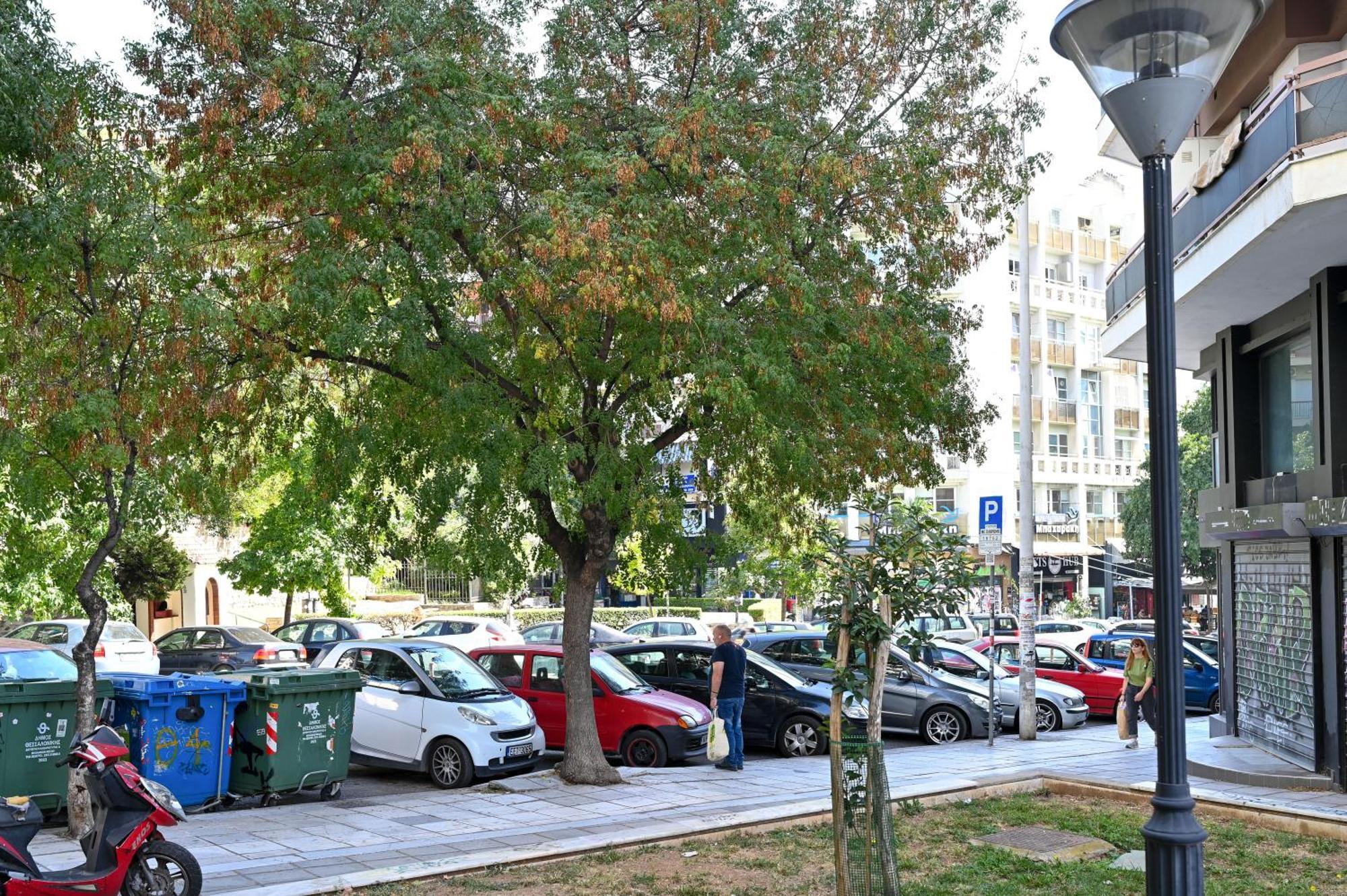 Thessaloniki Center Apartment On The Sunset Exteriör bild